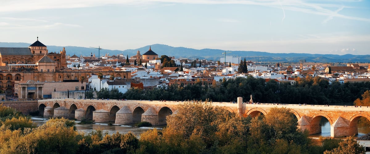 A historic cityscape with a prominent bridge, ancient architecture, and a river.