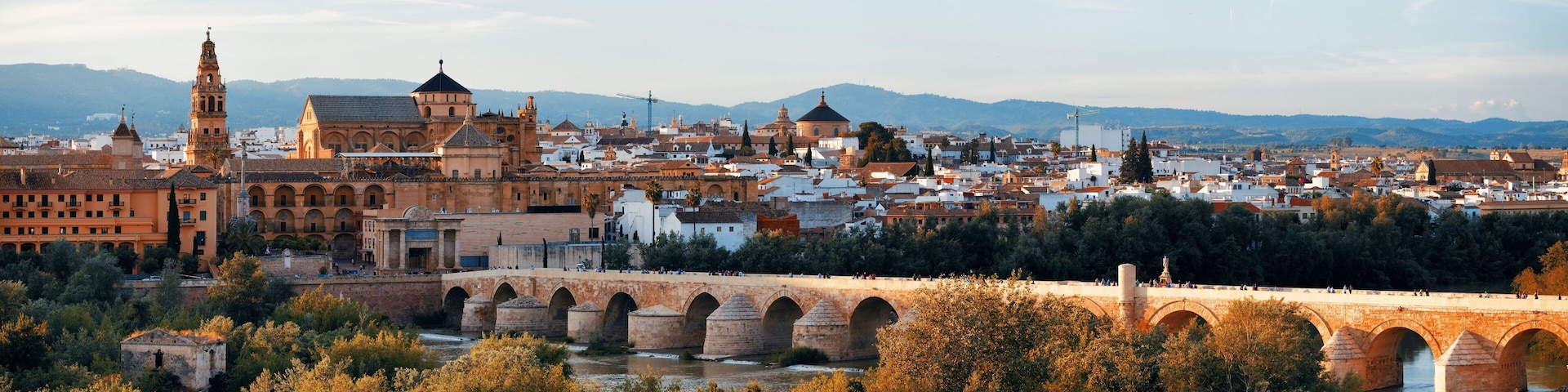 A historic cityscape with a prominent bridge, ancient architecture, and a river.