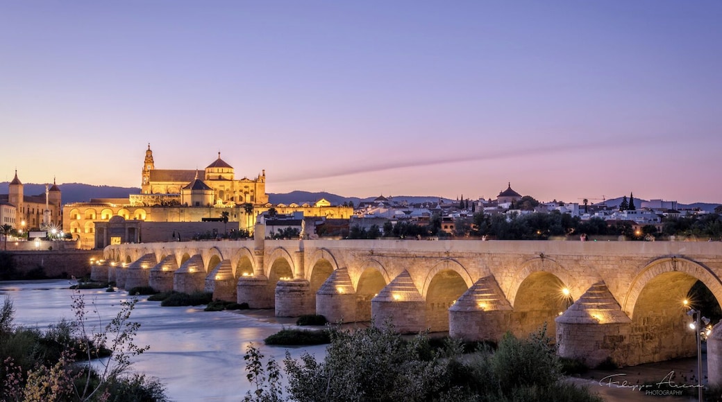 One of my favorite bridge, at sunset. #BvsCities