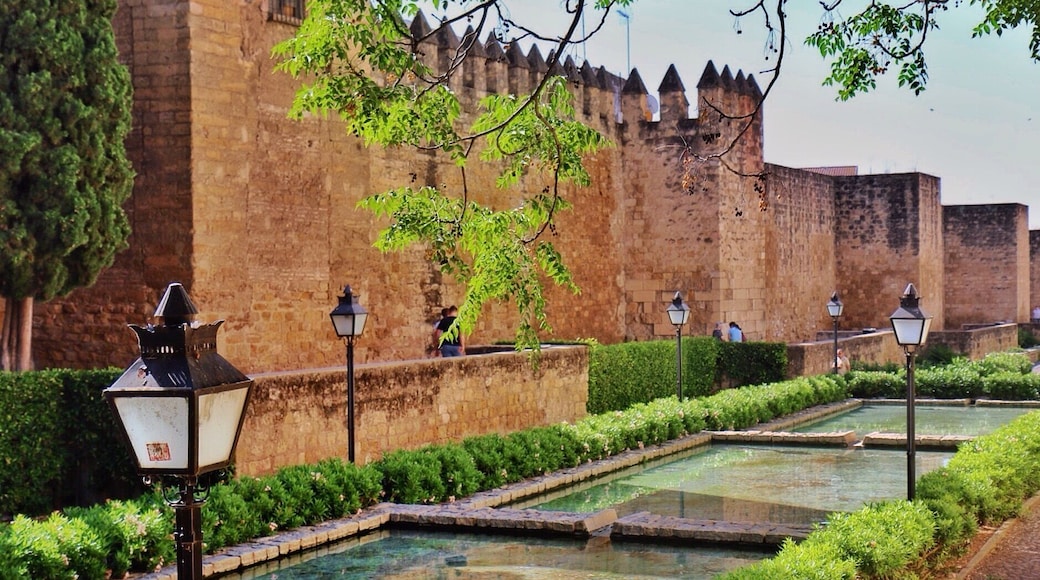 Just outside the puerta almodovar in the judería is the calle cairuán, a beautiful street along the medieval walls of the city with fountains and pools.