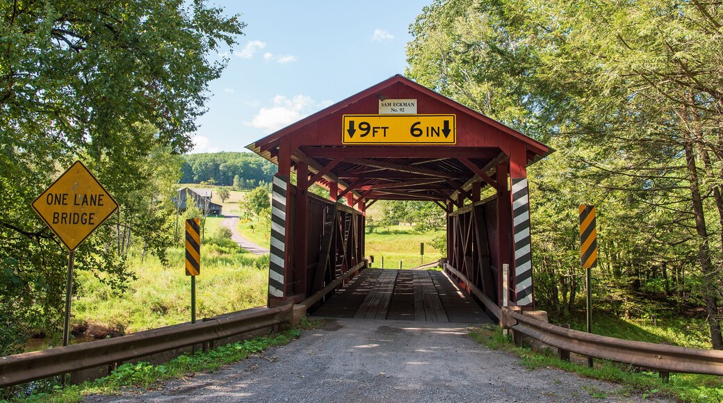 Sam Eckman's Covered Bridge in Columbia County, Pennsylvania