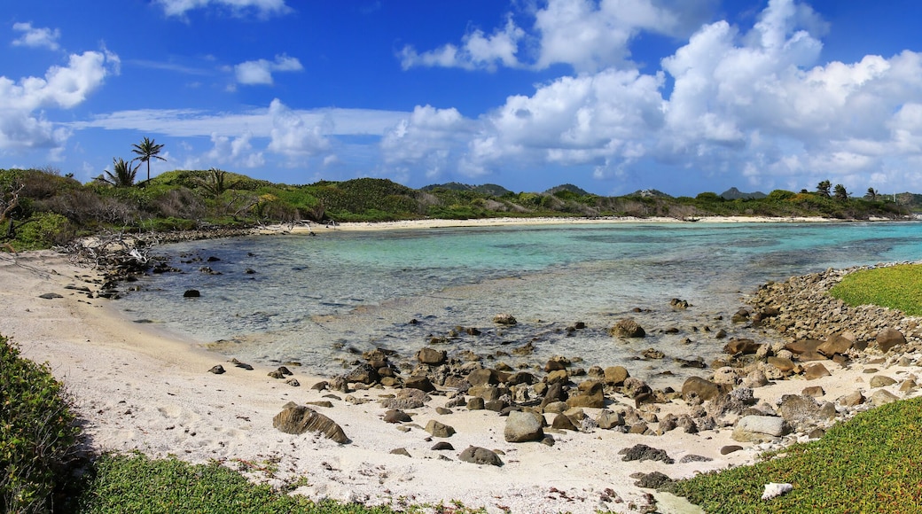 Panorama of White Island coastline near Carriacou Island, Grenada.
