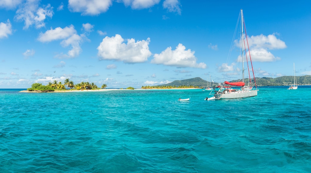 Turquoise sea and anchored yachts near Carriacou island, Grenada, Caribbean sea