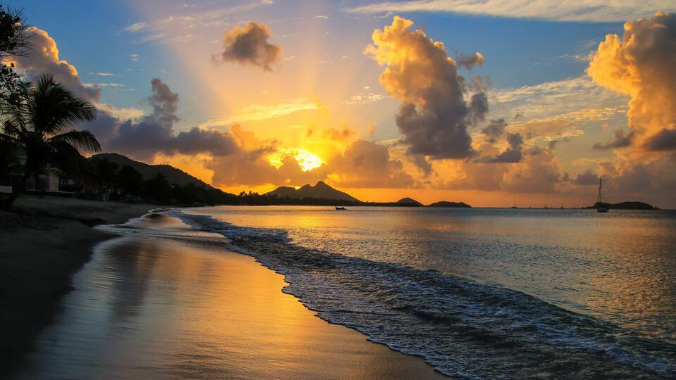A beach with waves, palm trees, and a sunset.