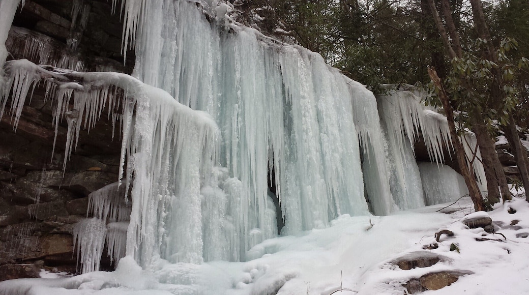 Swallow falls cliffs. One of my favorite spots to visit in the winter. This trail is directly across the river from the State park side.