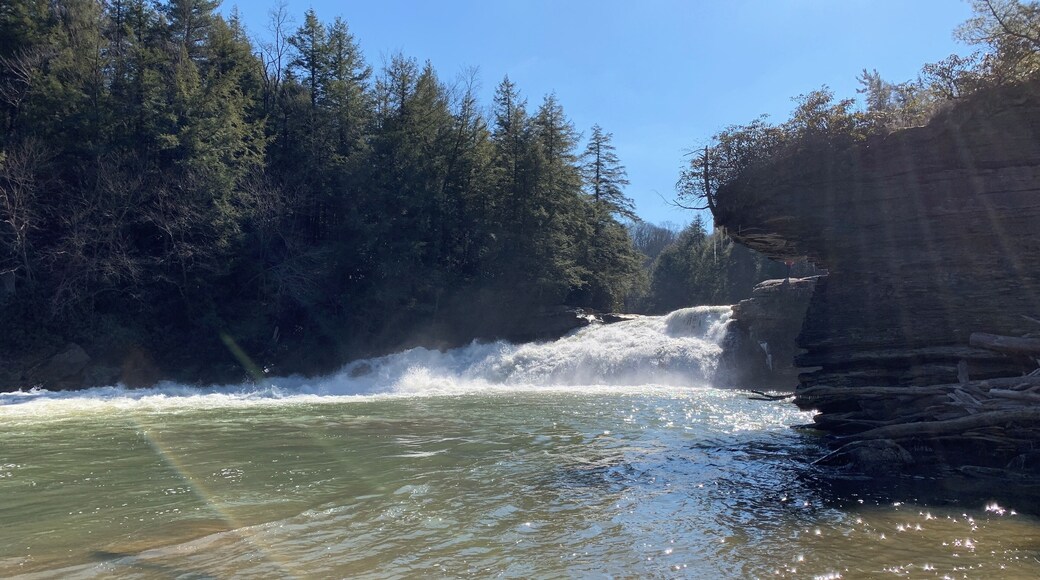 Swallow Falls