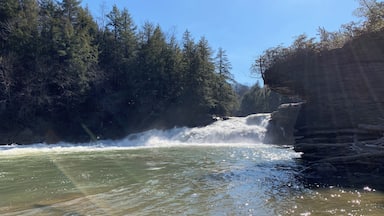 Swallow Falls