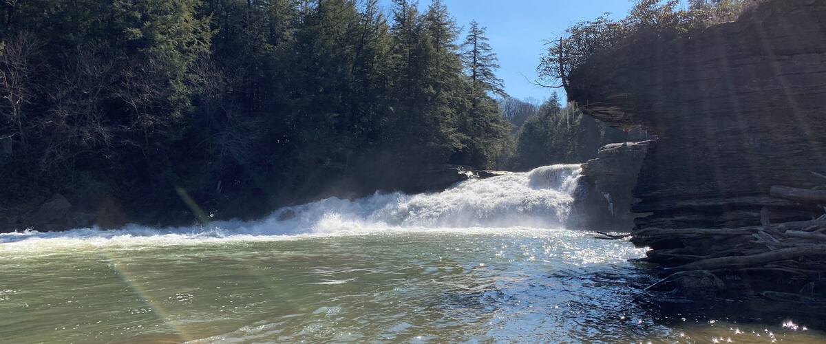 A river flowing through a forest with a waterfall.
