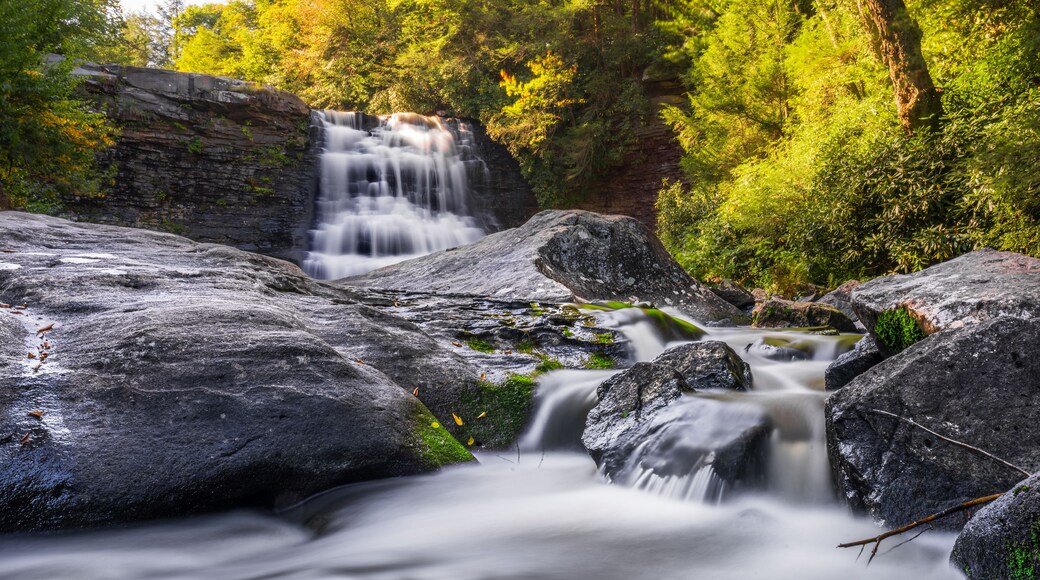Swallow Falls State Park - Oakland Maryland