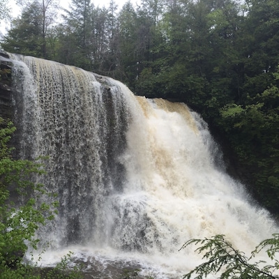 Uma cascata despenca por um penhasco rochoso, rodeada por uma floresta densa.
