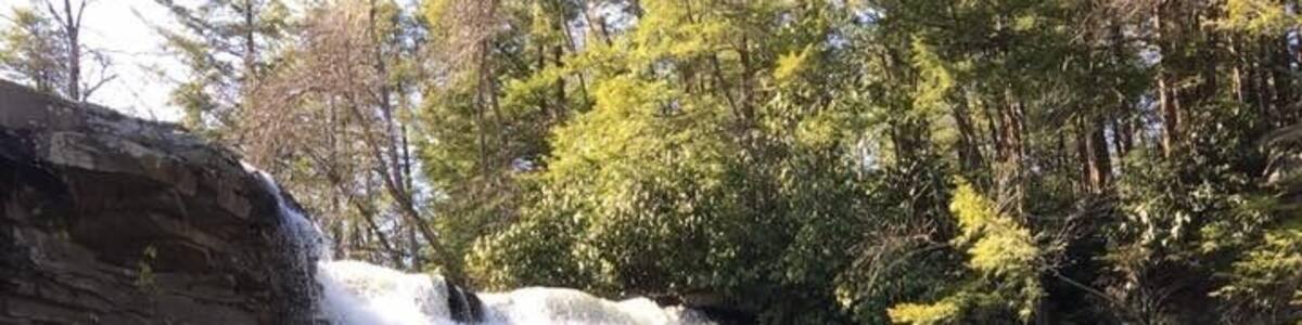 Waterfall at Swallow Falls
