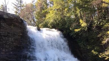 A waterfall cascading over a rocky cliff into a river surrounded by trees.