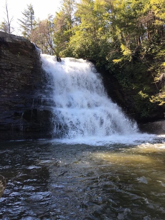 Waterfall at Swallow Falls