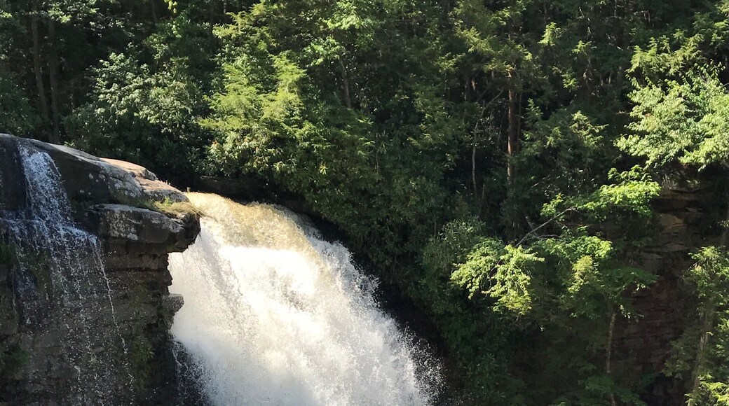 Gorgeous fall day! Lots of people, but there was room to walk