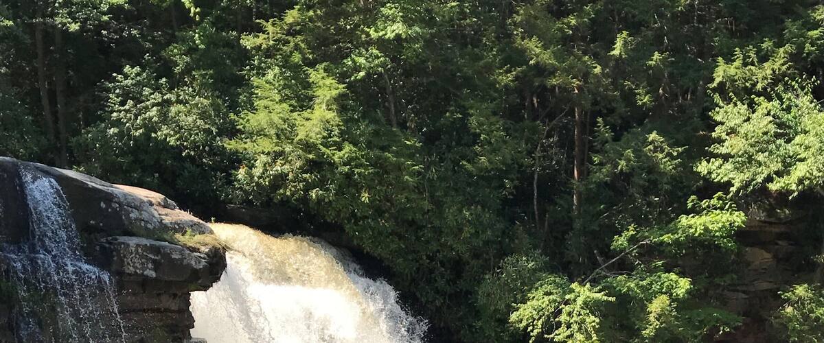 Gorgeous fall day! Lots of people, but there was room to walk