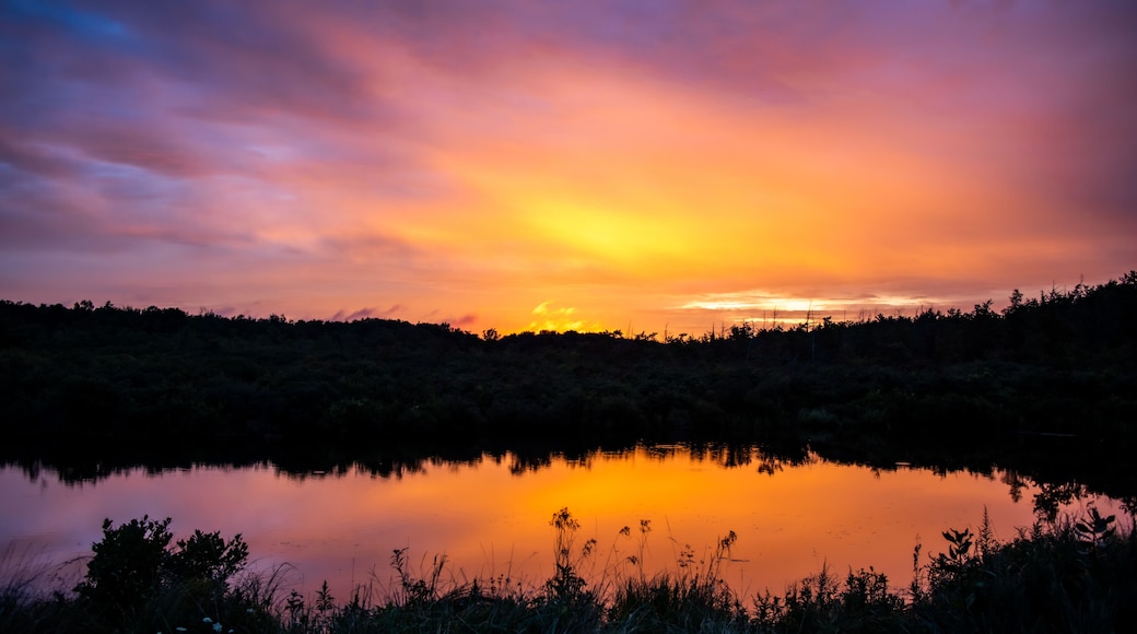 Nature pictures, sunrises, sunsets, and clouds in the North East Pennsylvania