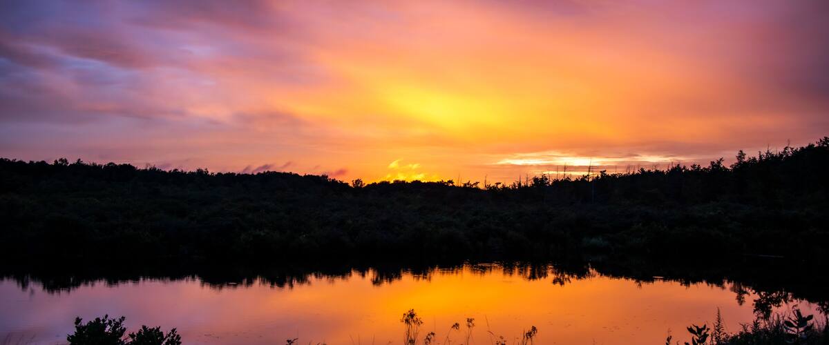 A sunset over a calm lake with a forested shoreline.