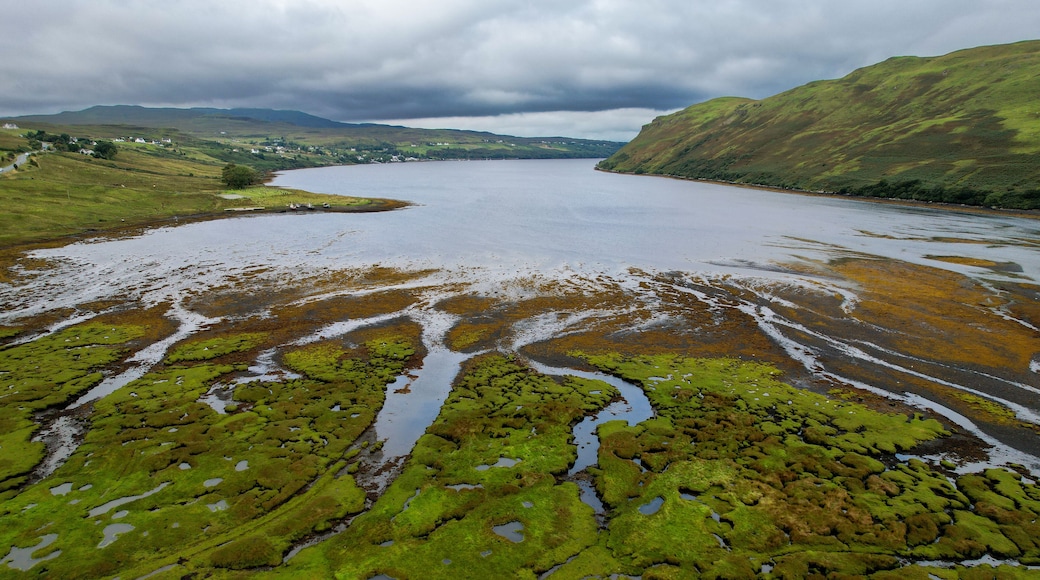 ๋ฏผ๊ธฐ๋์