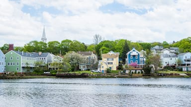 Homes in Quinnipiac River Park in New Haven Connecticut