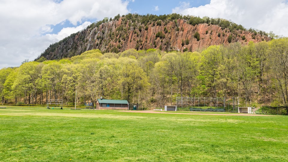 A green field with a building and trees in the background.