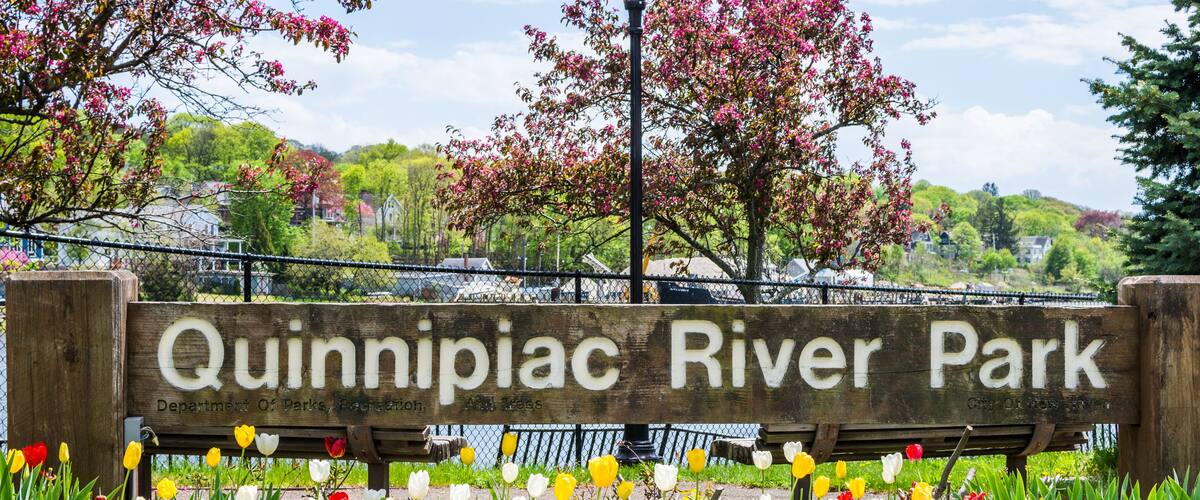 Homes in Quinnipiac River Park in New Haven Connecticut