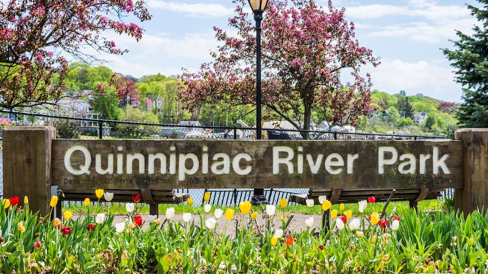 A sign for Quinnipiac River Park with a bench and colorful tulips in the foreground.