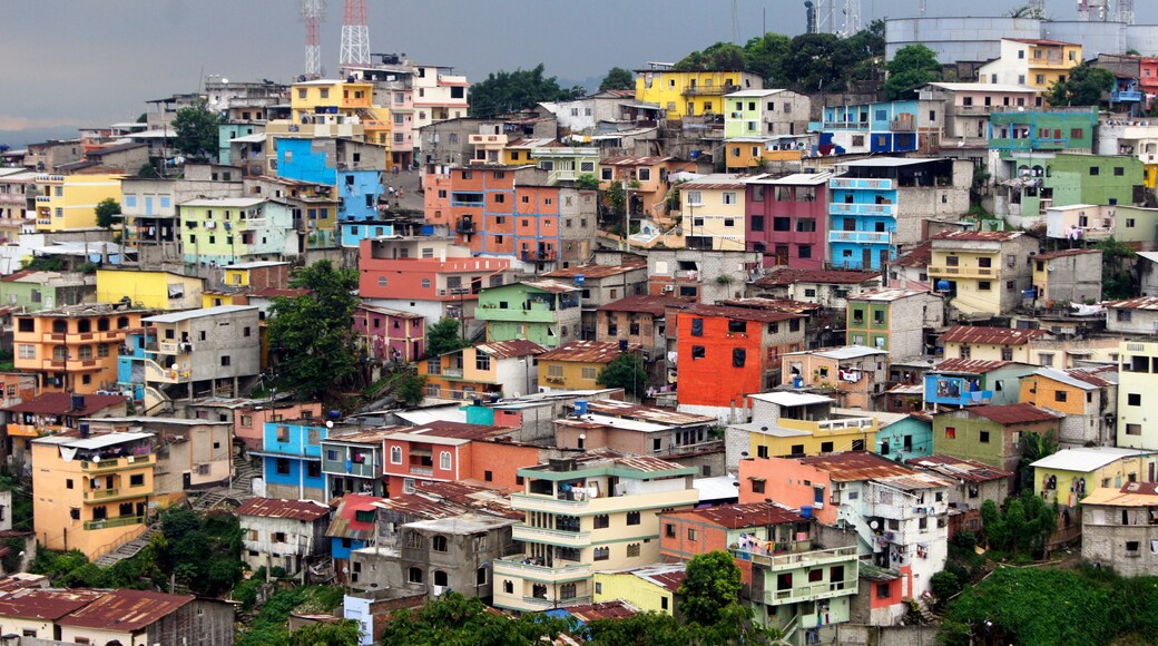 View of the colored houses of the Barrio de las Pe as in Guayaquil - Ecuador
