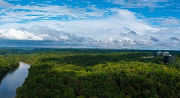 a stunning aerial panoramic shot of the Chattahoochee river surrounded by lush green and autumn colored trees with blue sky and clouds at Cochran Shoals Trail in Marietta USA