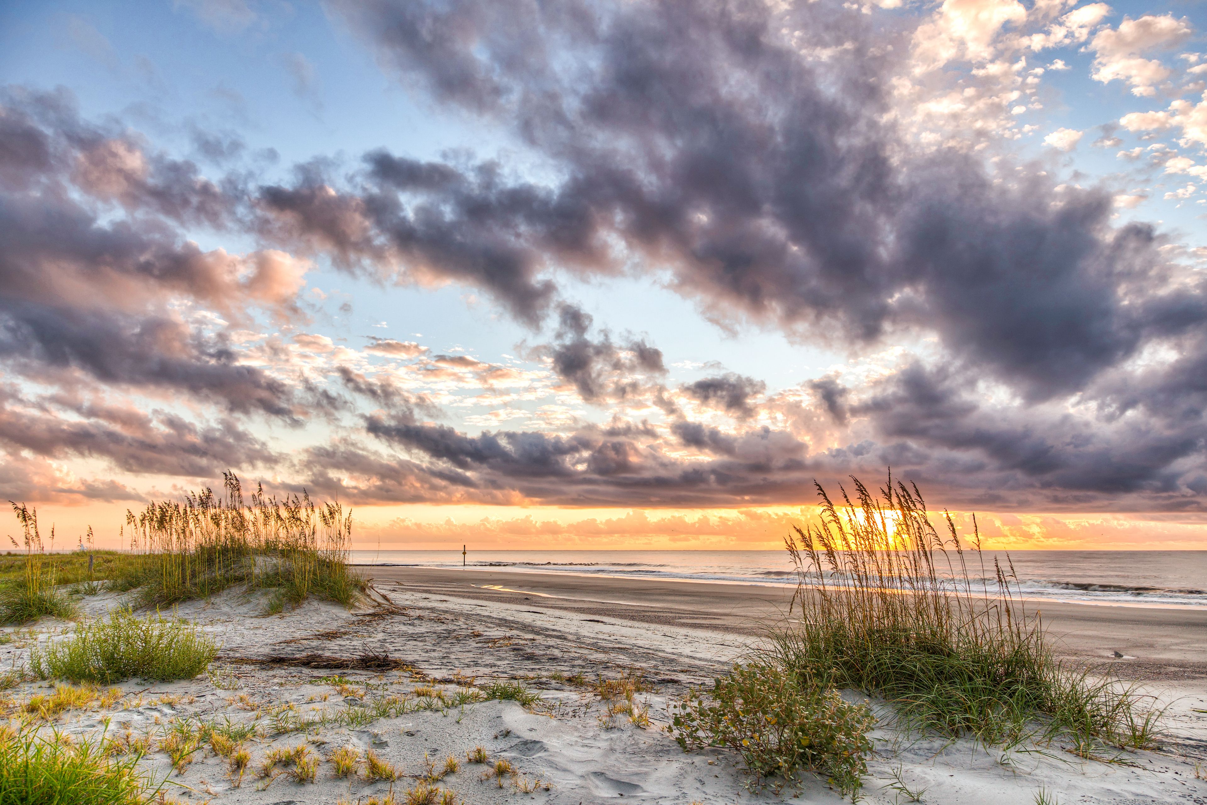 A beach with sand dunes and grasses, under a cloudy sky.