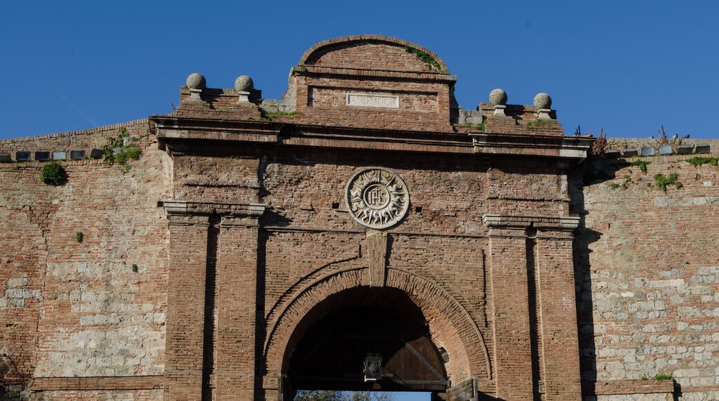 Detail of Camollia Door. Siena. Italy