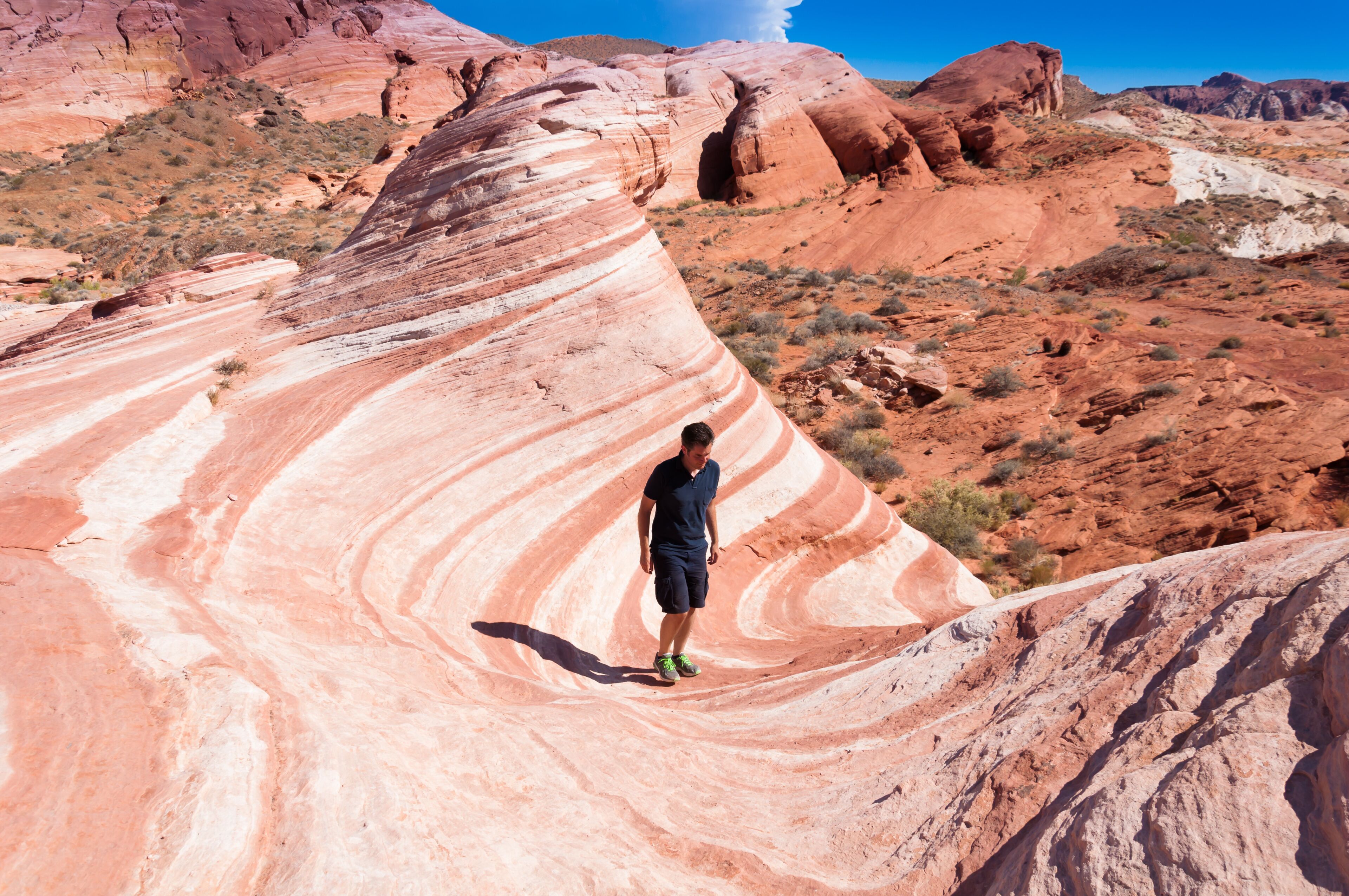 ノース ラスヴェガス