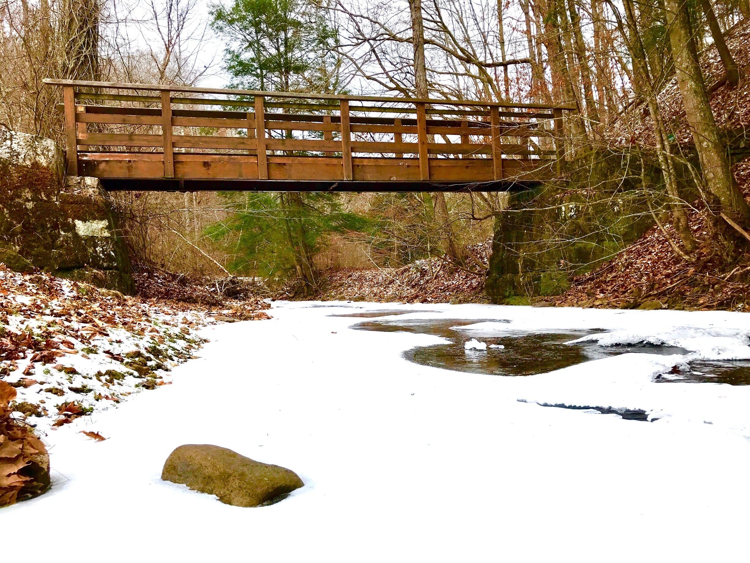 Kanawha State Forest in winter. 