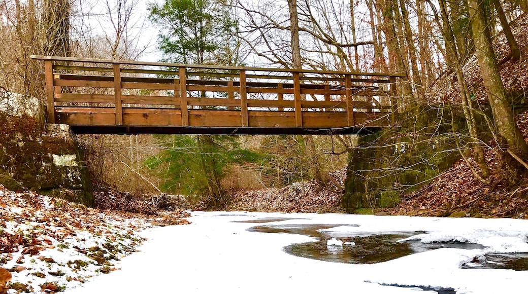 Kanawha State Forest in winter.