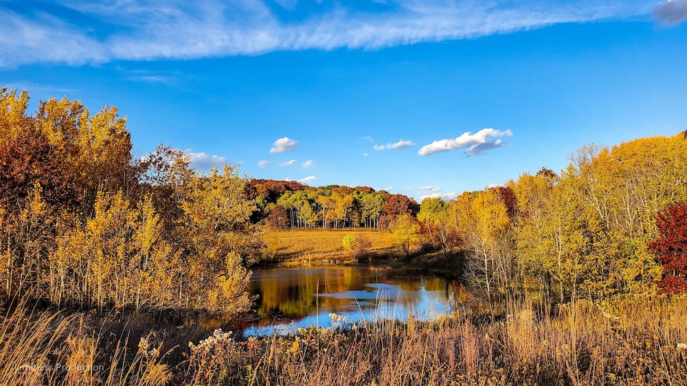 Minnesota Fall Colors from the Lebanon Hills Regional Park in Eagan, Minnesota.