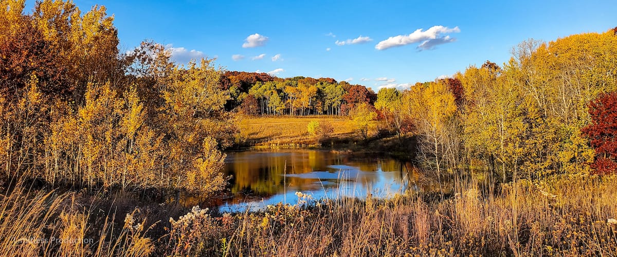 A serene lake surrounded by autumn foliage.