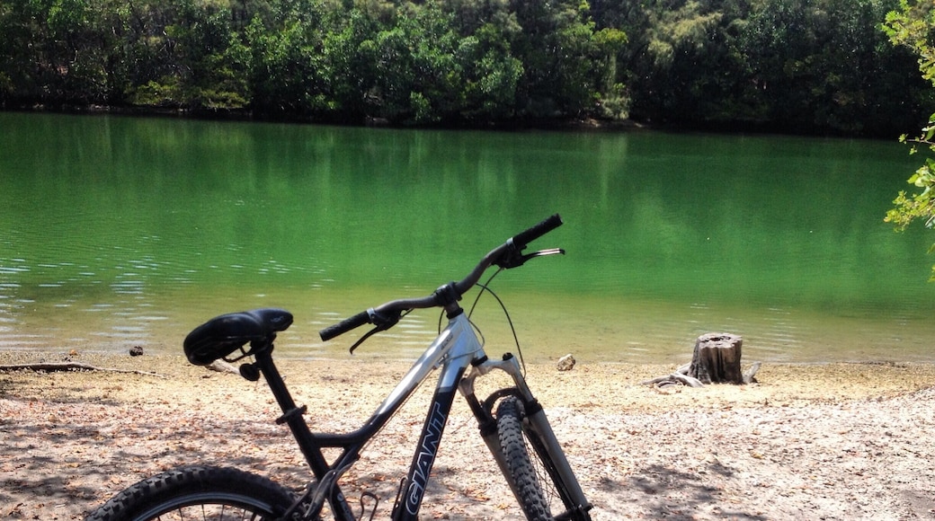 Oleta River Park is known for its bike trails but also is great for camping (during spring or autumn) and kyaking. Totally recommed for nature lovers.