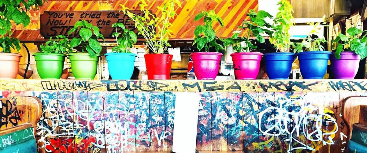 Cool place and great pizza