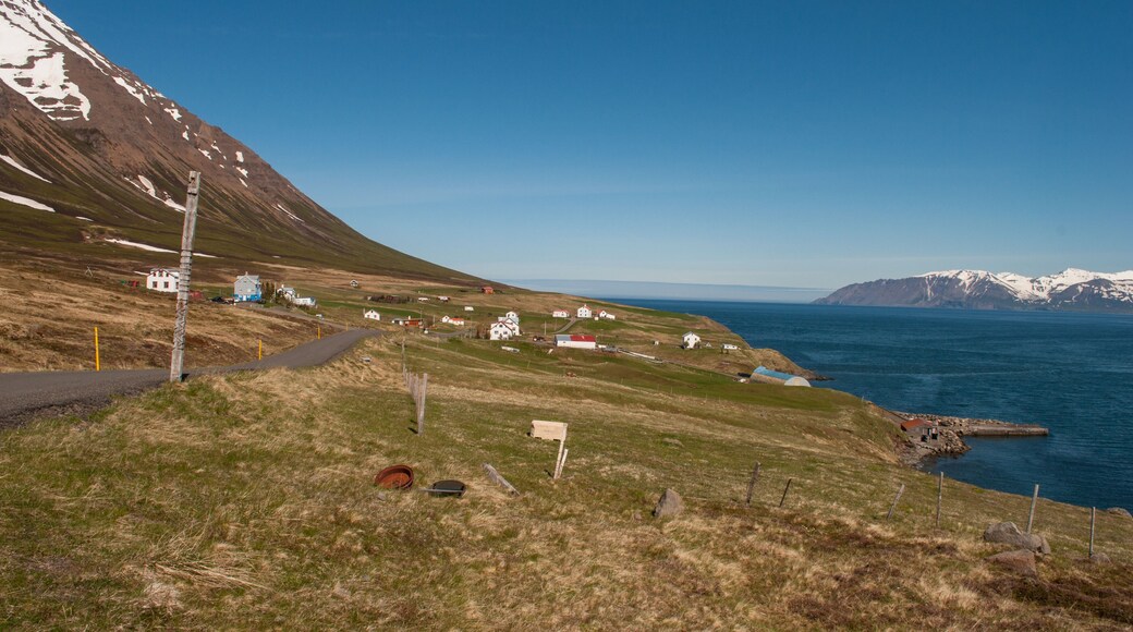 Village of Kleifar in Olafsfjordur in North Iceland
