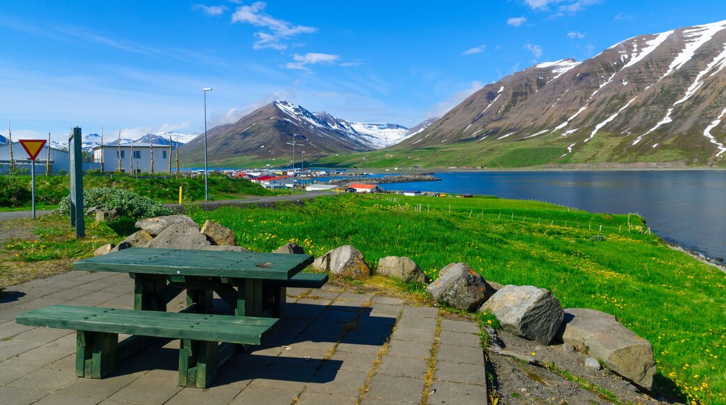 View of Olafsfjordur