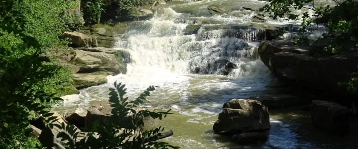 A river flowing through a forest with a waterfall and a bridge in the background.