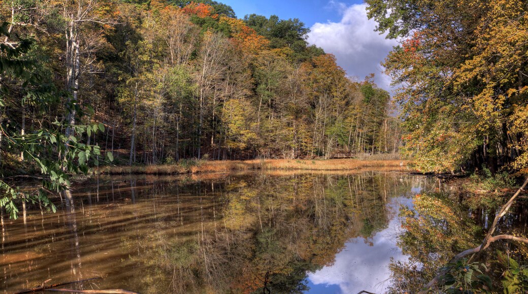 Rocky River Reservation Cleveland Ohio