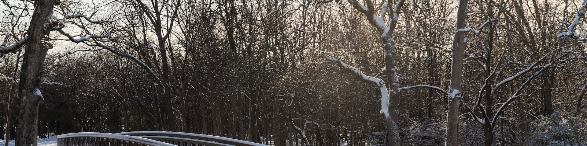 Four inches of snow covered this area in North Texas