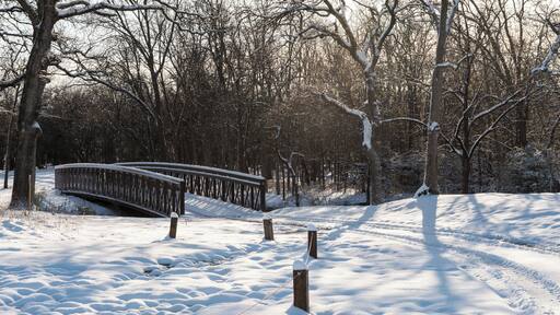 Four inches of snow covered this area in North Texas