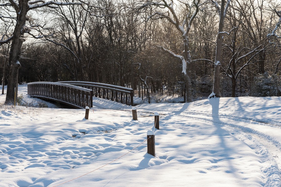 Four inches of snow covered this area in North Texas