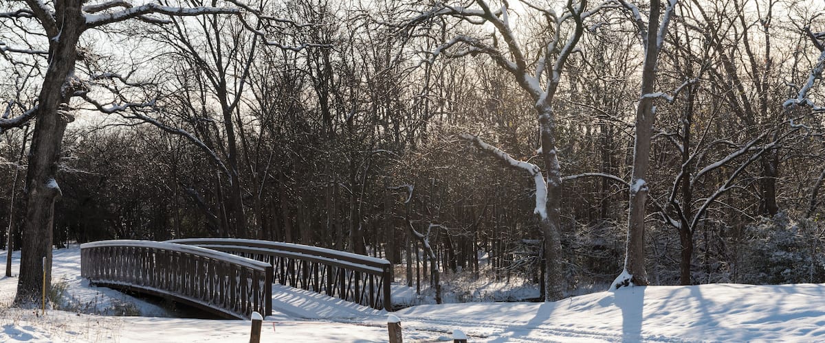 Four inches of snow covered this area in North Texas