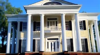 The Wynn House was built in 1839 when the city of Columbus was 11 years old. Greek Revival in style, the house has doric columns on three sides and is topped with a cupolo. Originally named “Oakview,” the house was built by Colonel William Wynn, for whom the Wynnton area of Columbus is named.
In 1852 Henry Hurt purchased the home from Colonel Wynn, but sold it in 1855 having never lived in it. The next owner, Mr. Hines Holt, was a prominent Georgia congressman and attorney. During the Civil War, his ownership saved the home from the Union Army captain sent to burn the homes in this area. The home remained in the Holt family for 50 years.
In 1905, Mr. J. T.