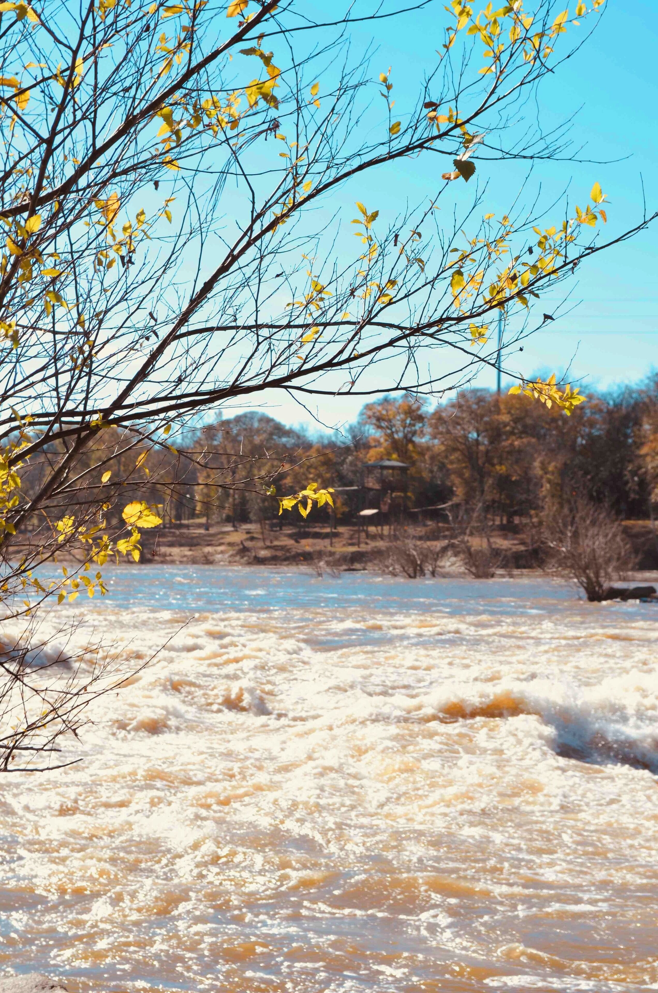 Some flooding but massive rapids.
