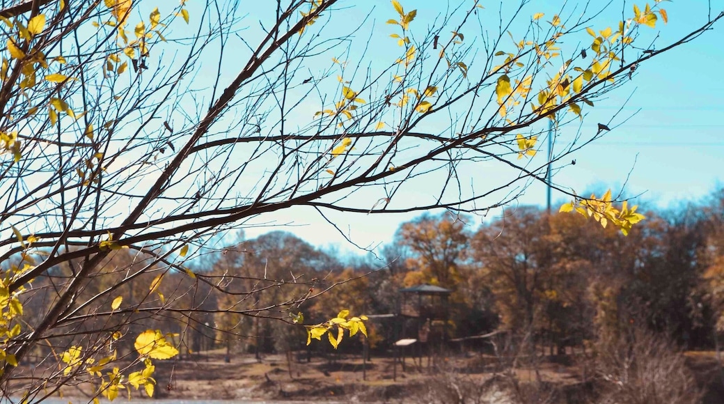 Some flooding but massive rapids.
