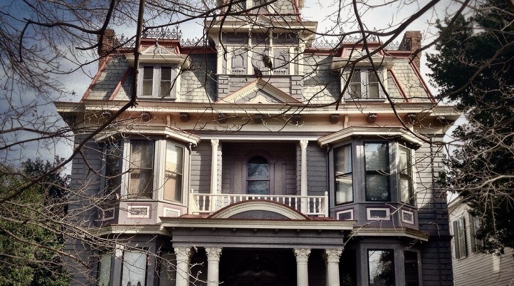 Built in 1887 by Dr. William L. Bullard, Columbus physician and pioneer ear, eye, nose and throat specialist, this house is a splendid example of Second Empire Victorian architecture. It was designed by L.E. Thornton of New York.
The Bullard family lived here for 90 years. Their guests included President Franklin D. Roosevelt and generals George Patton and George Marshall who dined on "Country Captain." A popular regional dish originated by the family cook, Arle Mullins.
The house was listed in the National register in 1977 and painstakingly restored in 1978 by the new owners, dr. and Mrs. Lloyd Sampson.