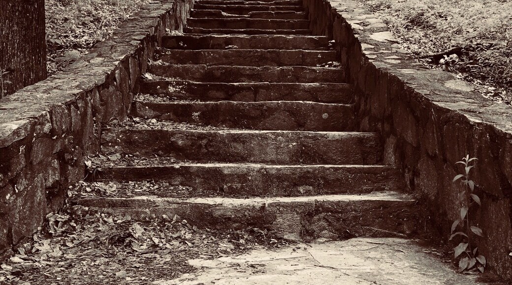 I love black and white photos.